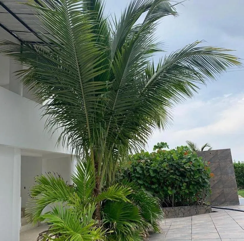 Hotel Villa Del Sol 0*, Cartagena